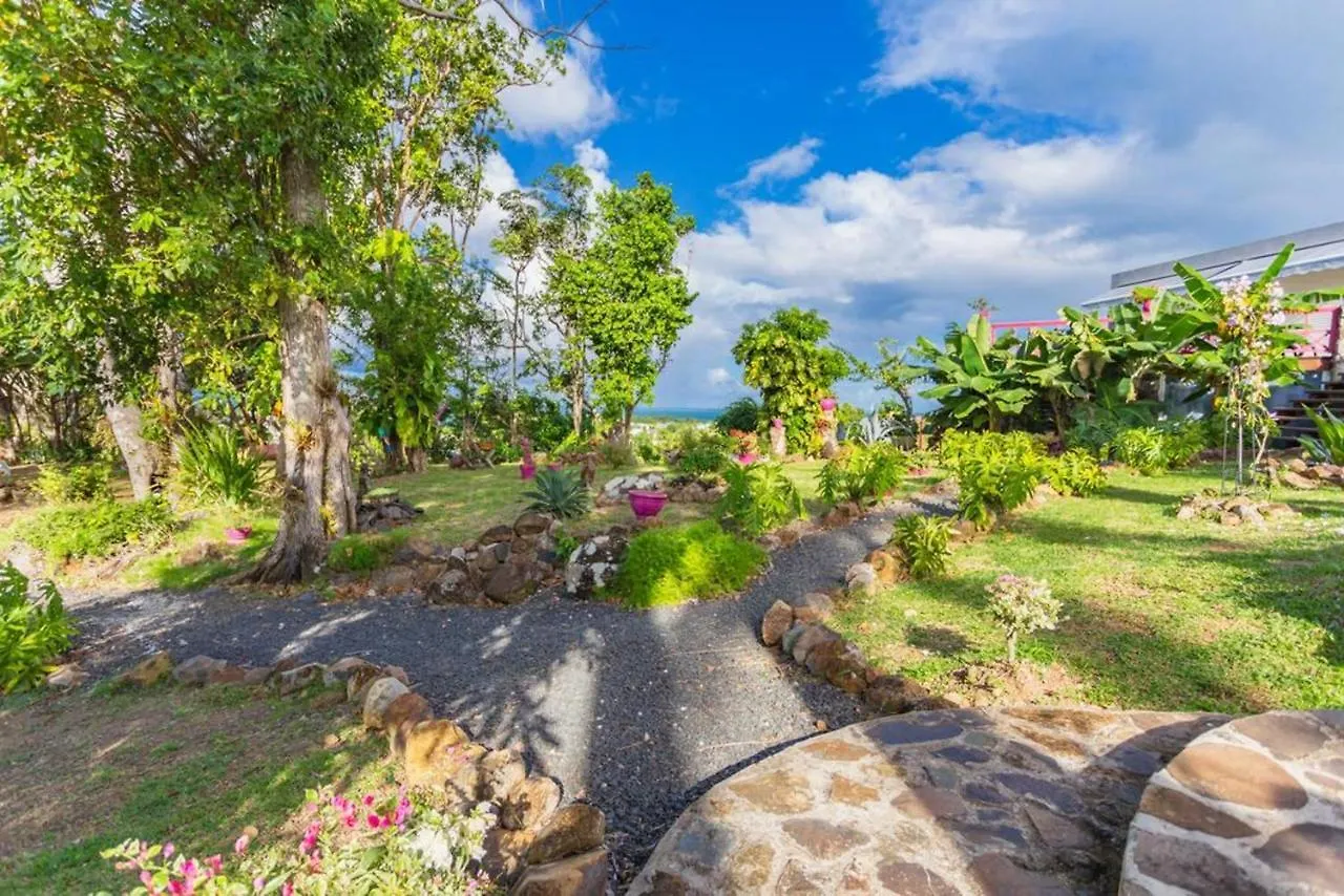 Villa Elegante A Sainte-Rose Avec Piscine Privee 0*,